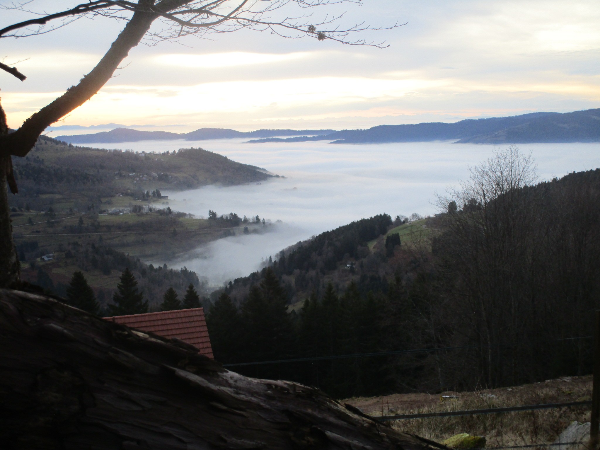 Photo n° 4 de la location