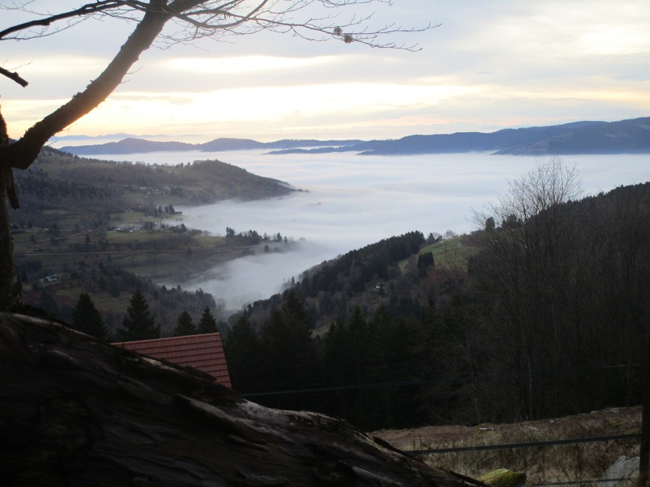 Photo n° 4 de la location