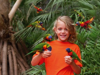 Au parc des oiseaux de Villars les Dombes.