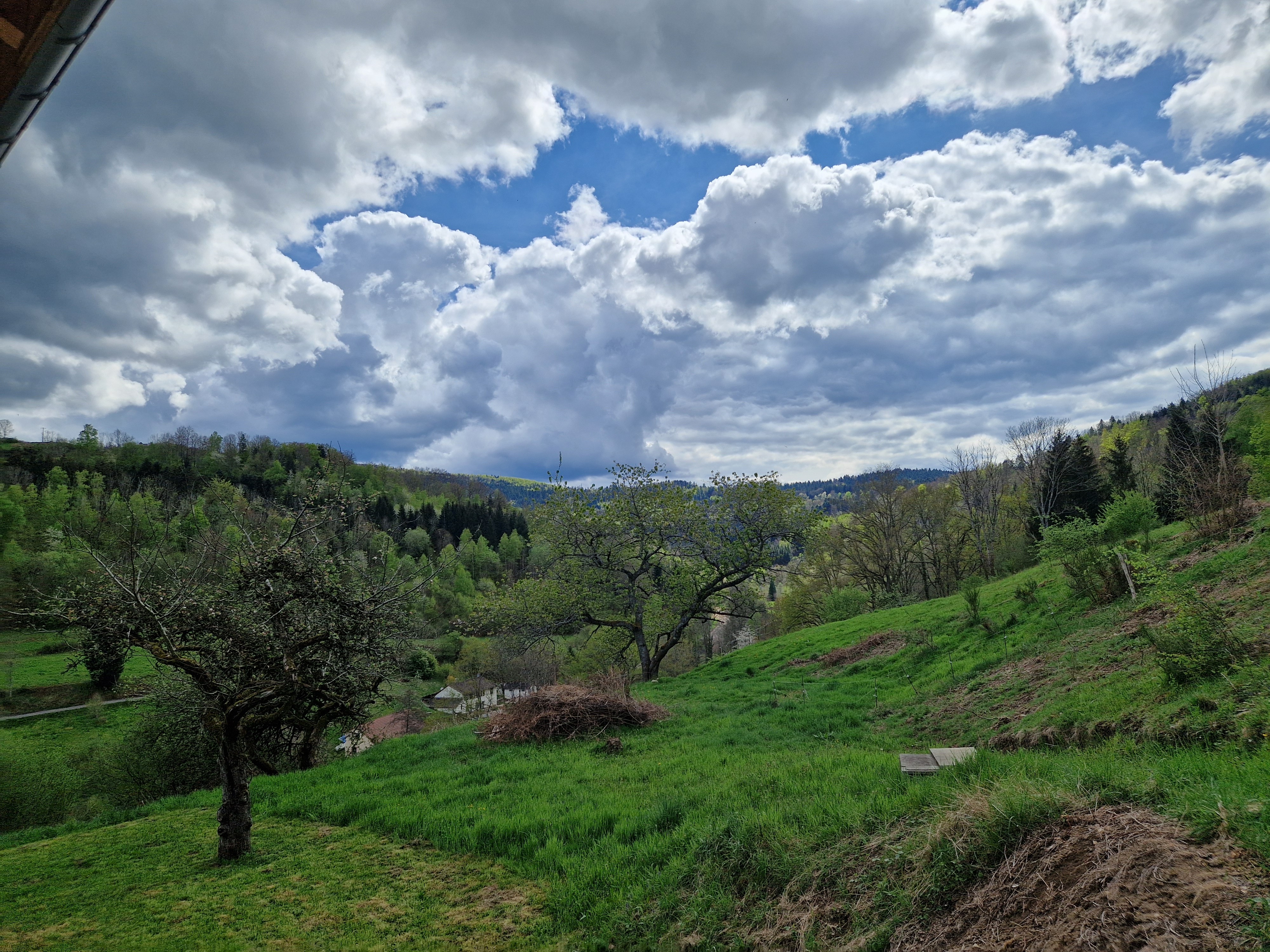 Vue depuis le logement - Au Rain Grébatte