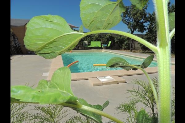 Chambres d'hôtes avec piscine dans le Parc naturel régional du Pilat - Piscine