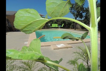 Chambres d'hôtes avec piscine dans le Parc naturel régional du Pilat - Piscine