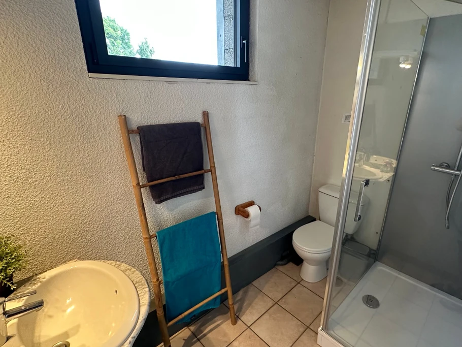 Salle de bains avec douche, lavabo, WC