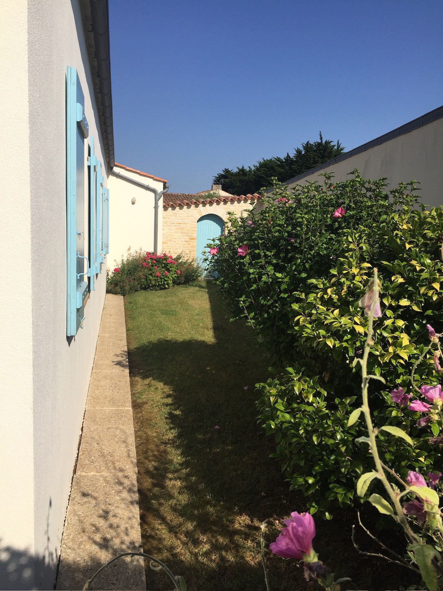 Back of the house – bedroom side