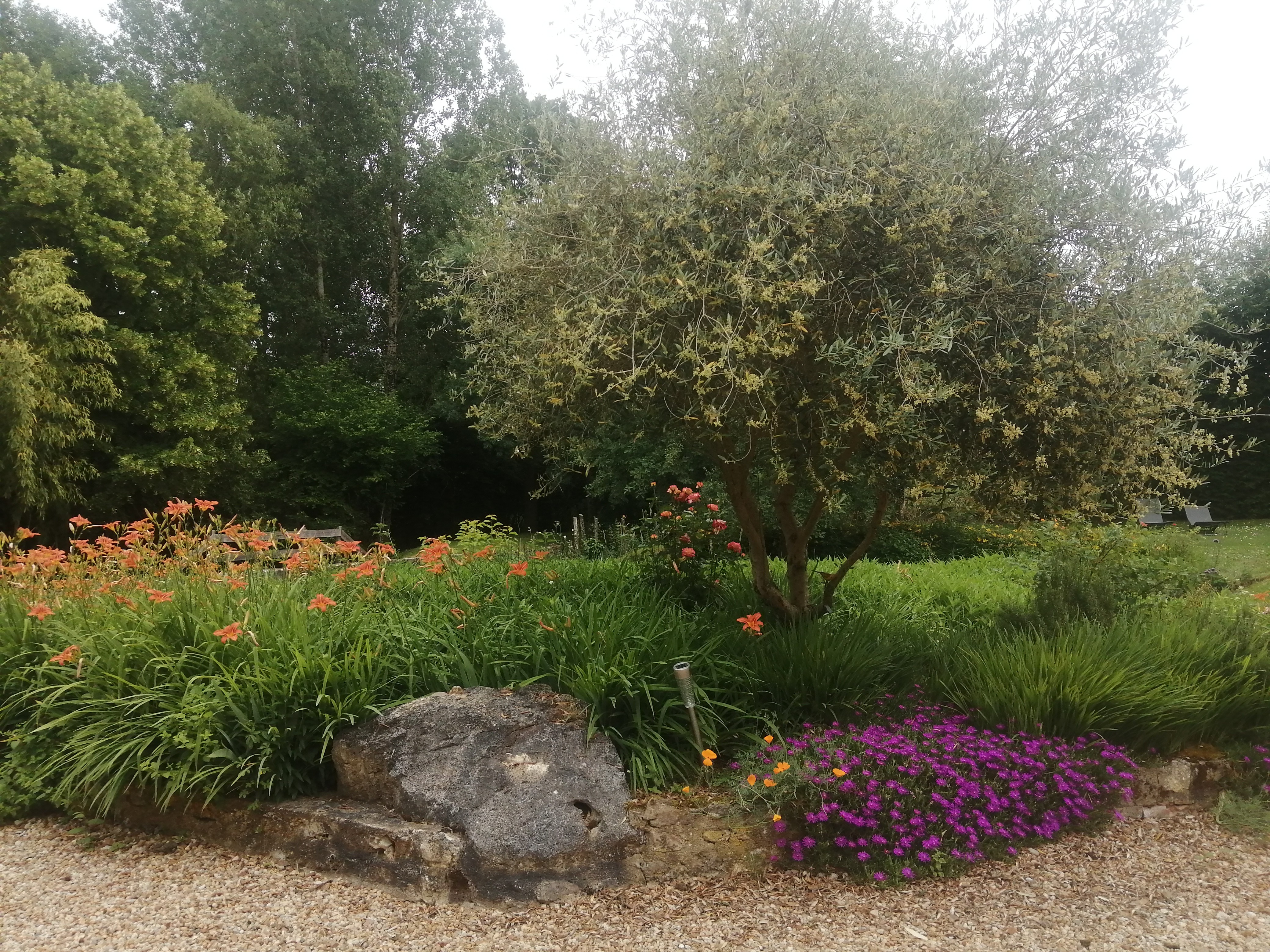Photo n° 11 de la location