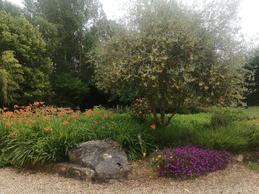 Photo n° 11 de la location