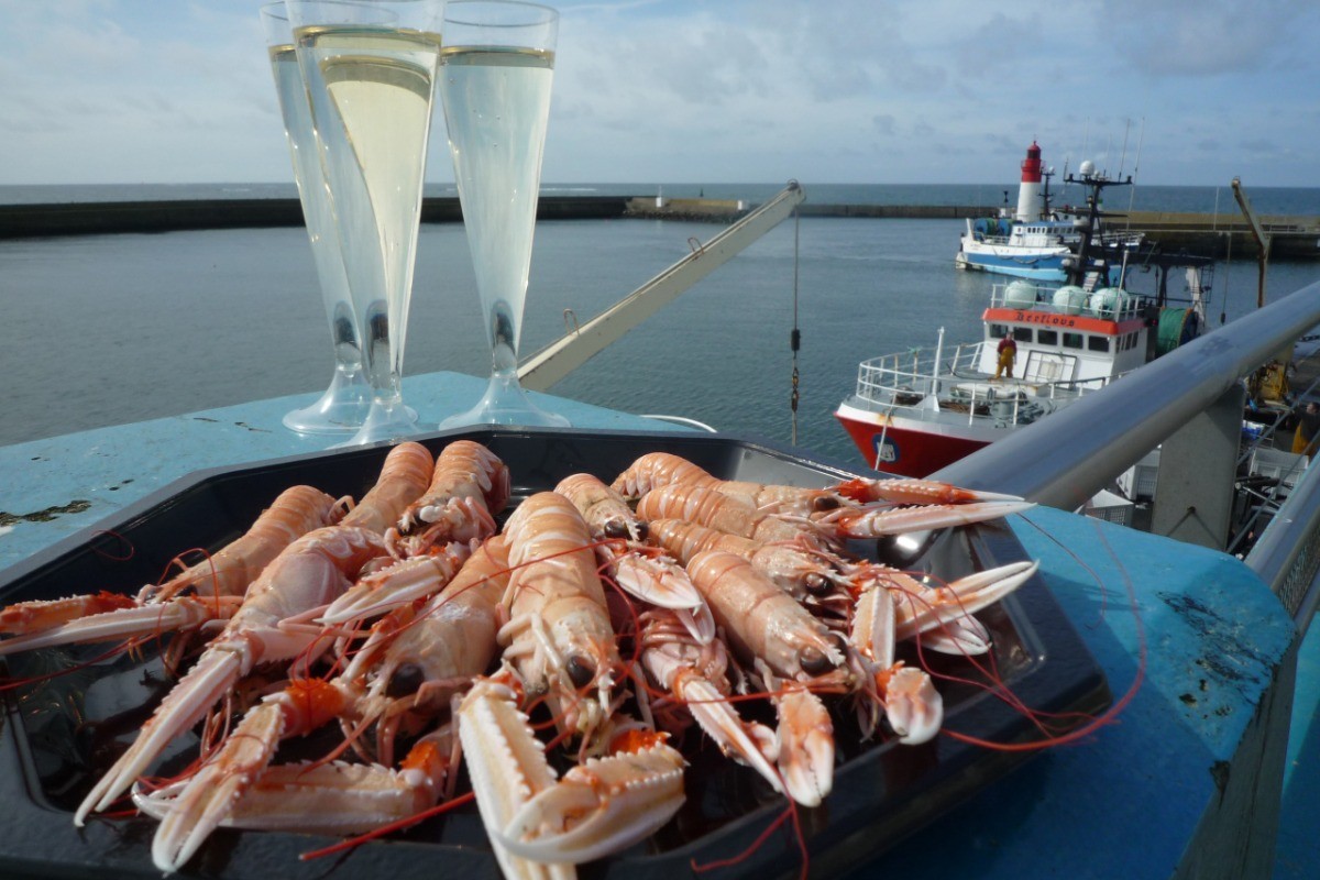 Scampi tasting in Guilvinec