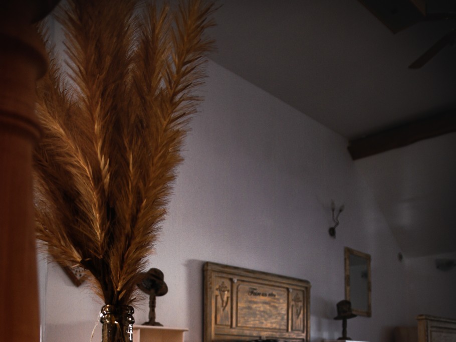 Photo n° 5 de la location