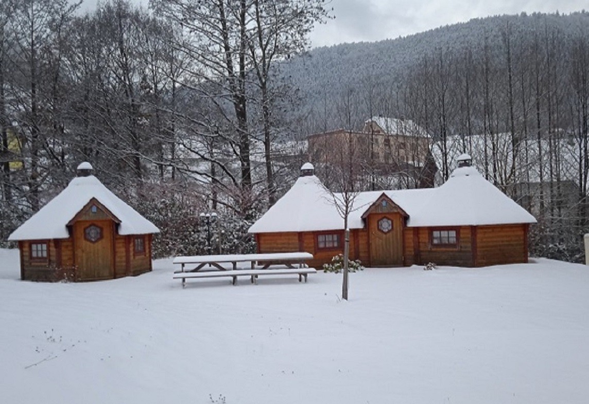 Kota sous la neige