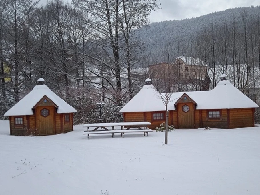 Kota sous la neige
