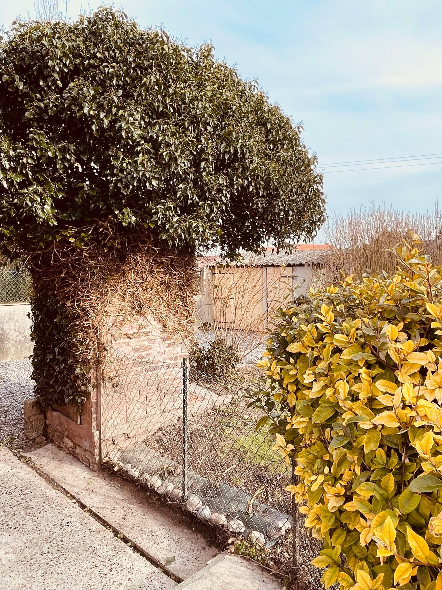 Photo n° 16 de la location