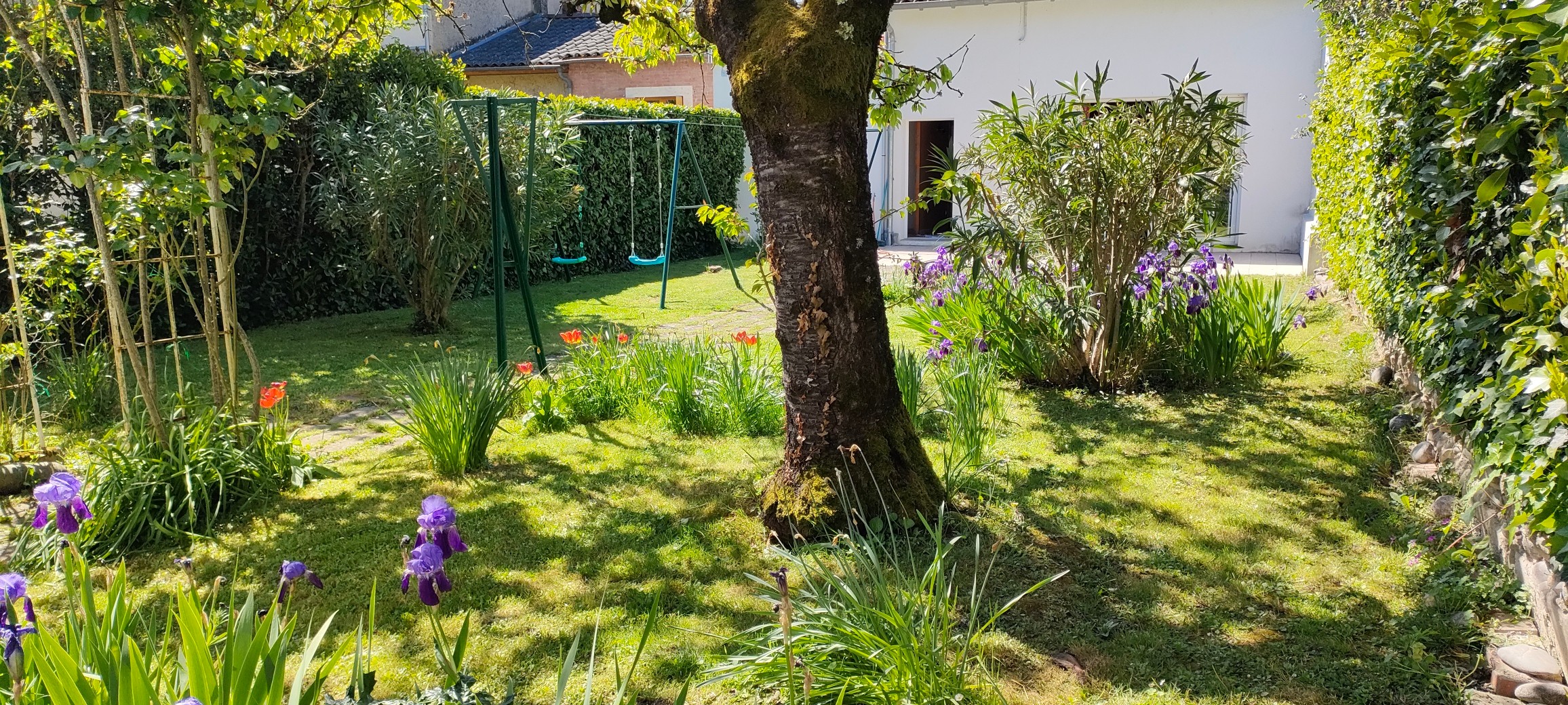 JARDIN
