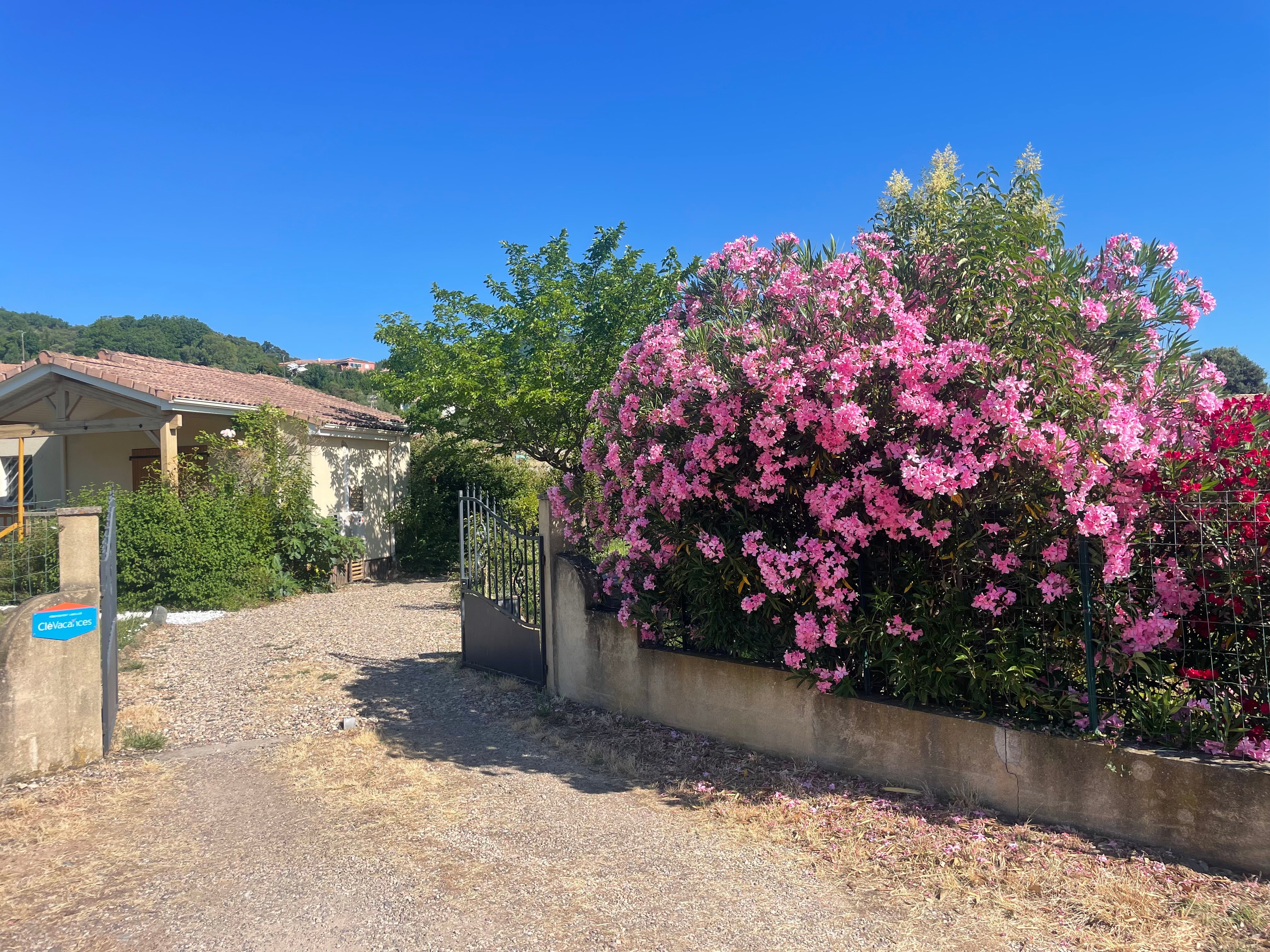 Vue sur entrée