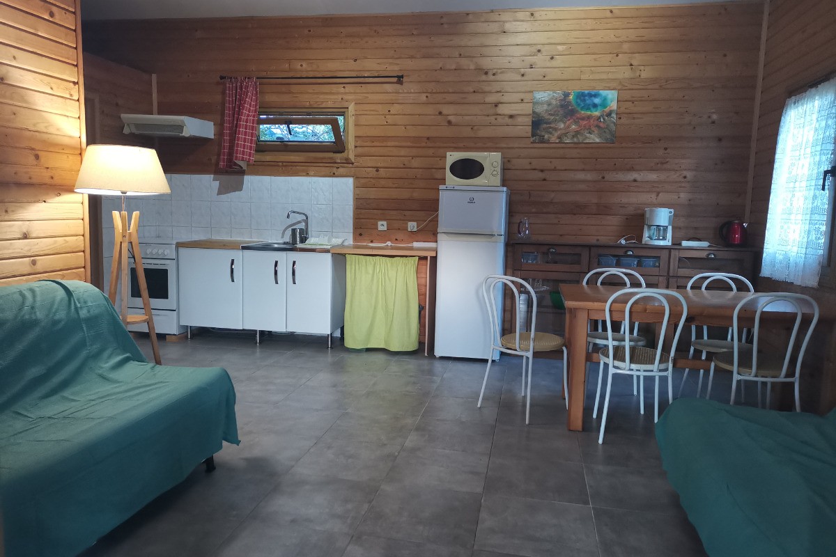 piece principale chalet vert