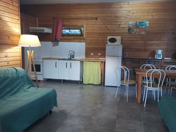 piece principale chalet vert