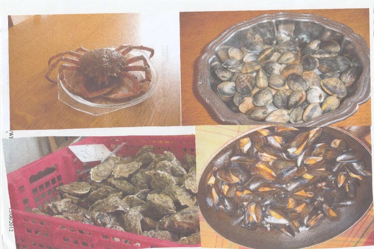 Coquillage pécher dans la région