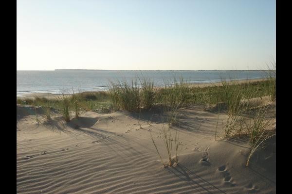 Photo n° 10 de la location