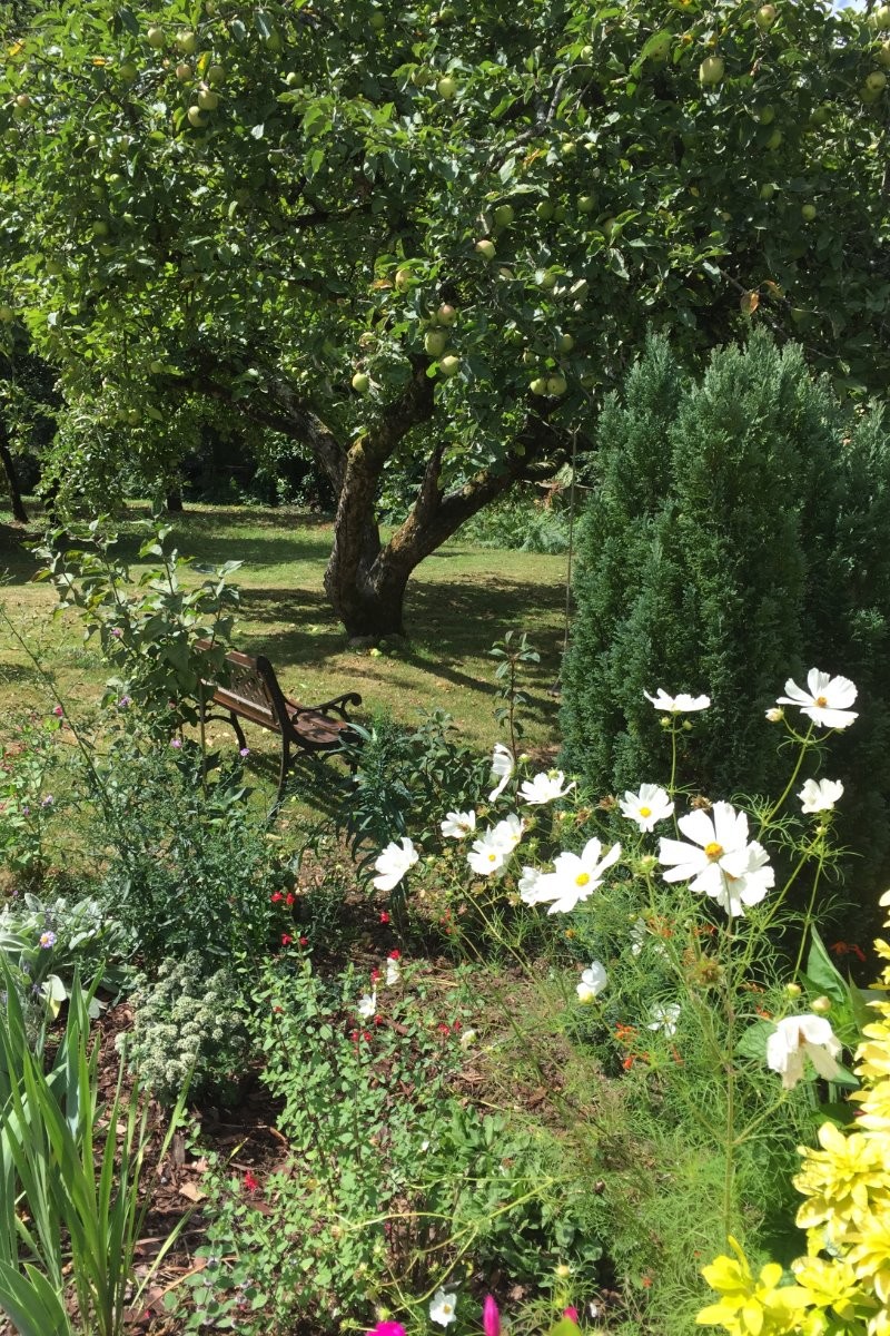 Fin d'été et premières pommes…