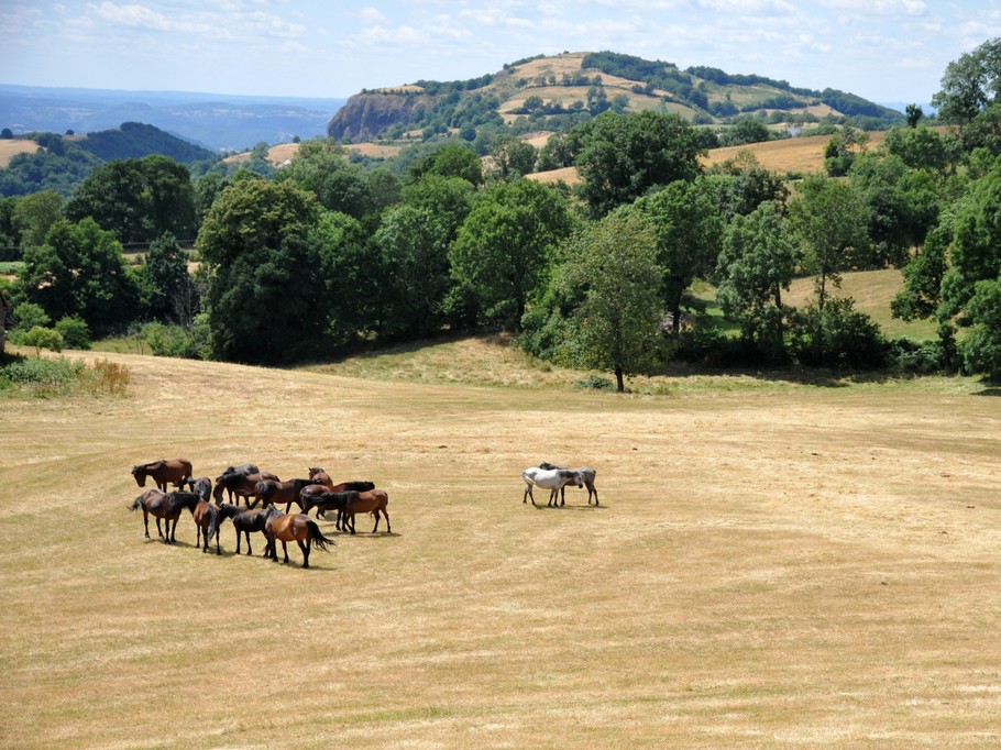 Photo n° 4 de la location