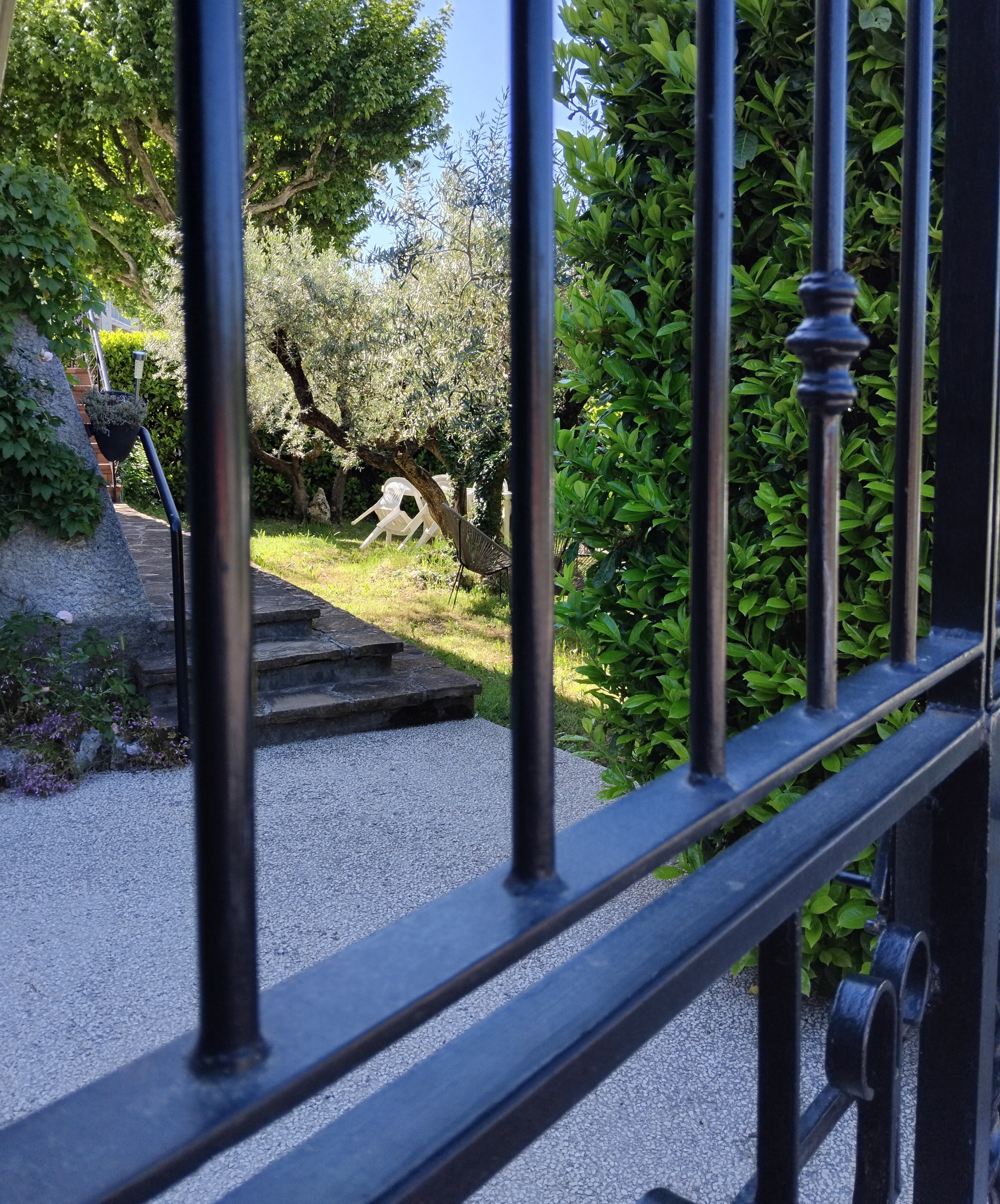 Jardin vu du portail d'entrée