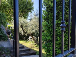 Jardin vu du portail d'entrée