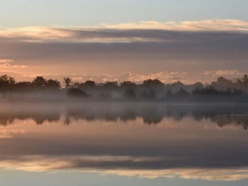Domaine de La Bellière - Un étang dans La Dombes en hiver