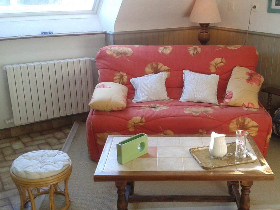 le coin salon avec BZ