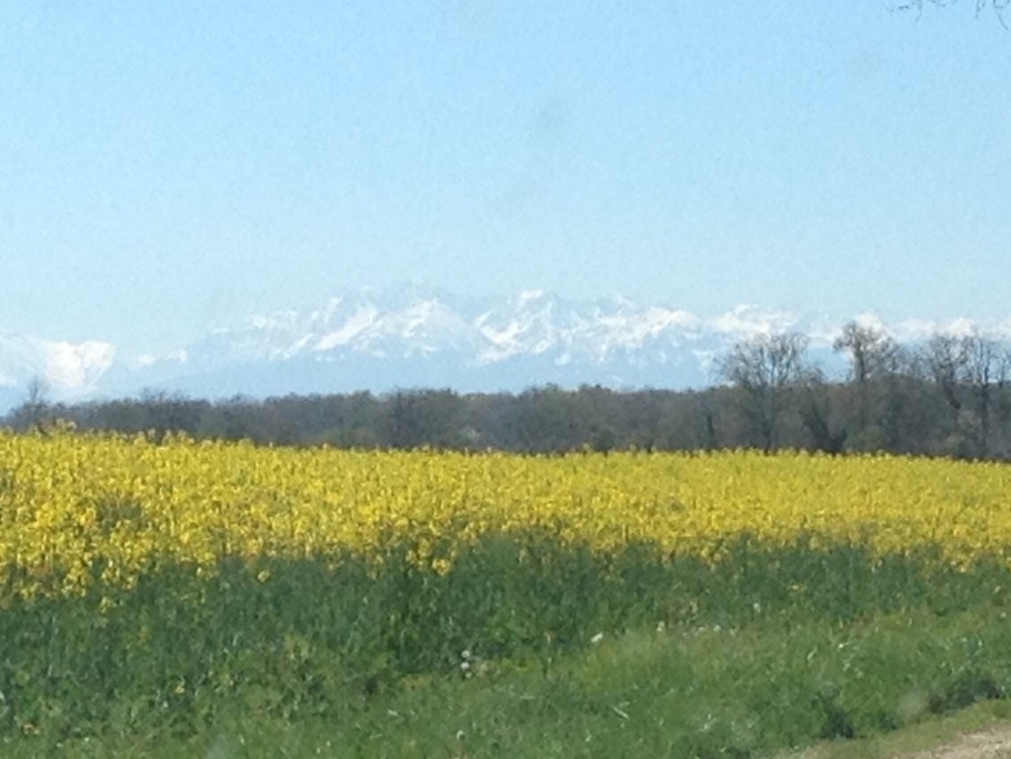 Photo n° 11 de la location