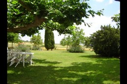Un coin de verdure