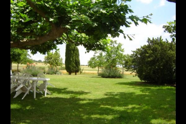 Un coin de verdure
