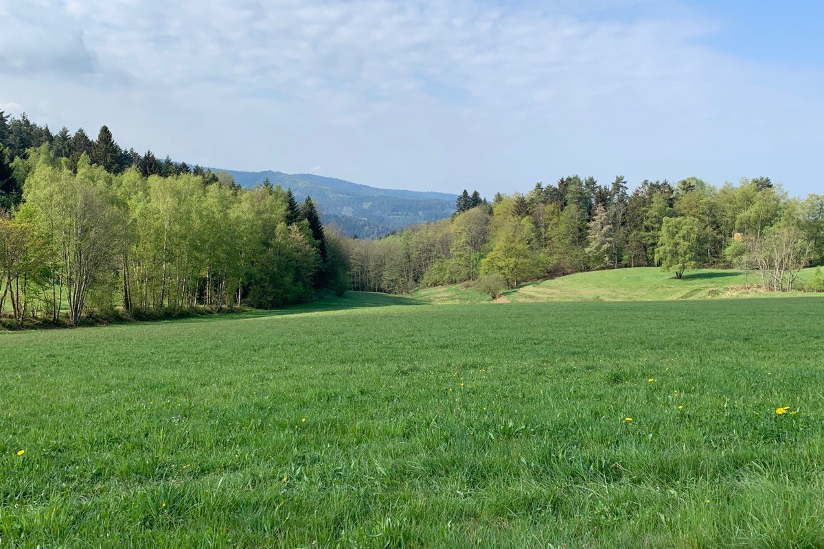 Vue des près environnants - Gîte la Belle Vue