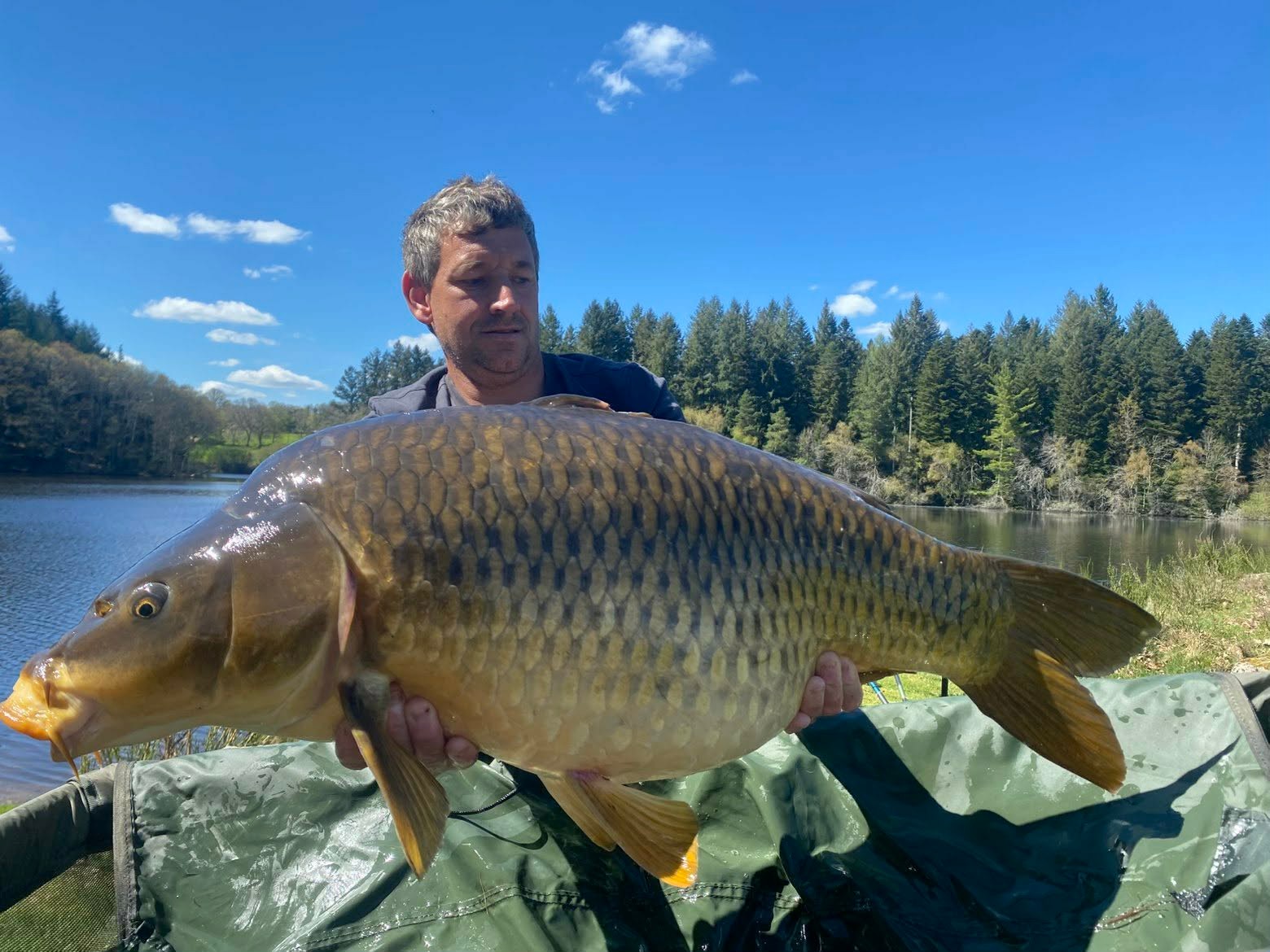 Yves Avril 2026 nice common 18.2 kg