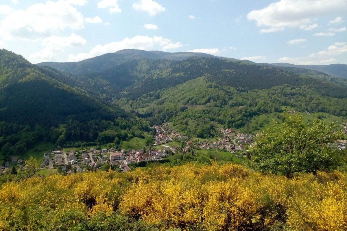 Photo n° 19 de la location