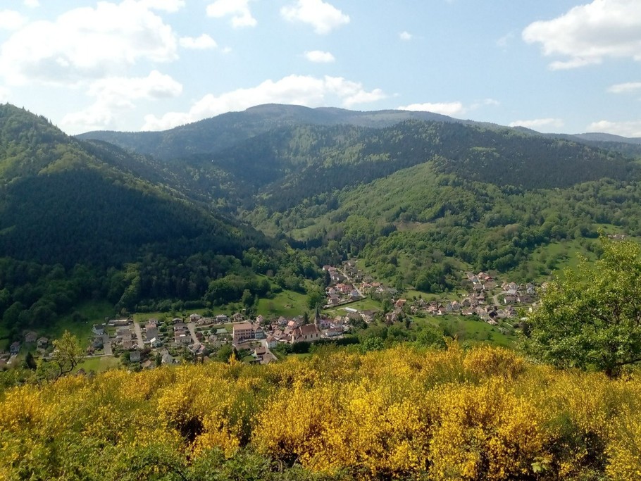 Photo n° 19 de la location