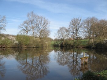 Gîte de grande capacité avec piscine à la campagne
