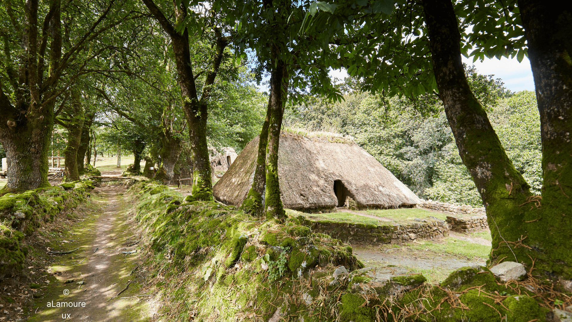 Photo n° 18 of the location