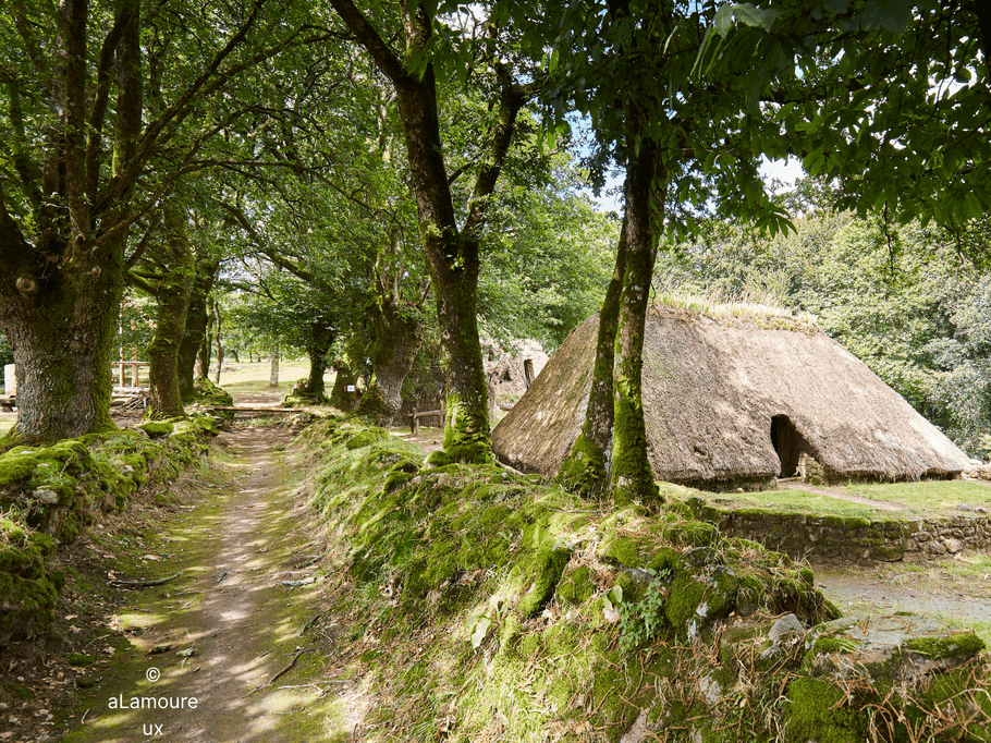 Photo n° 18 of the location