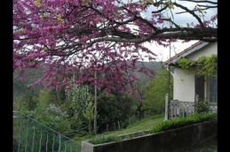 Entrée Gite 1