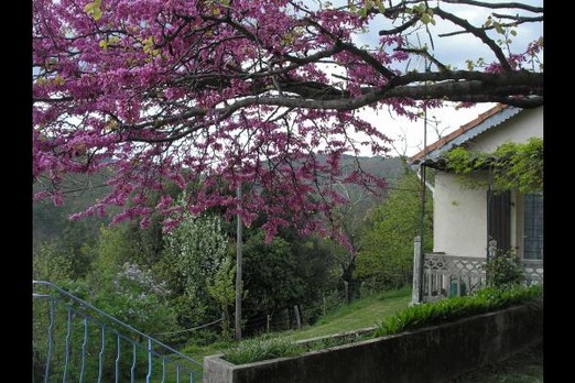 Entrée Gite 1