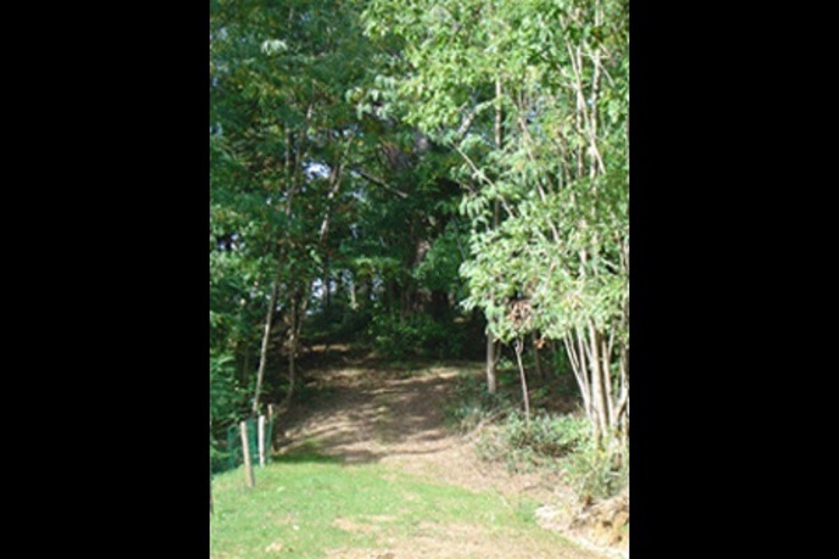 extérieur vers bois