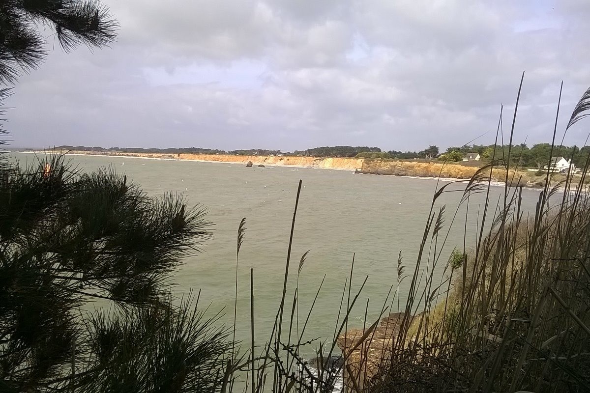 Photo n° 8 de la location