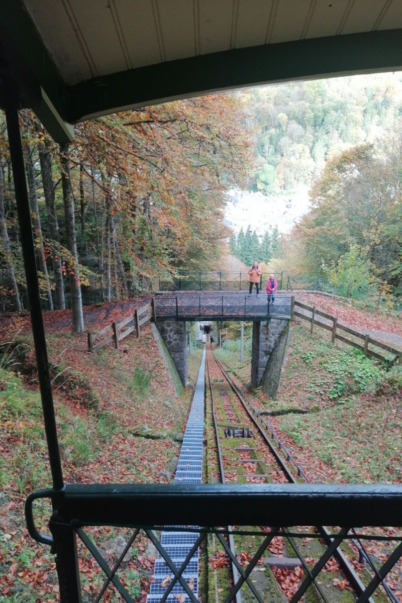 Le Nid douillet - Mont Dore