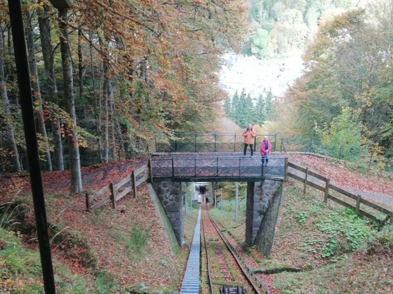 Le Nid douillet - Mont Dore