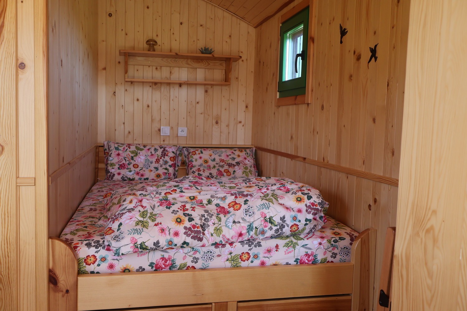 Photo n° 5 de la location