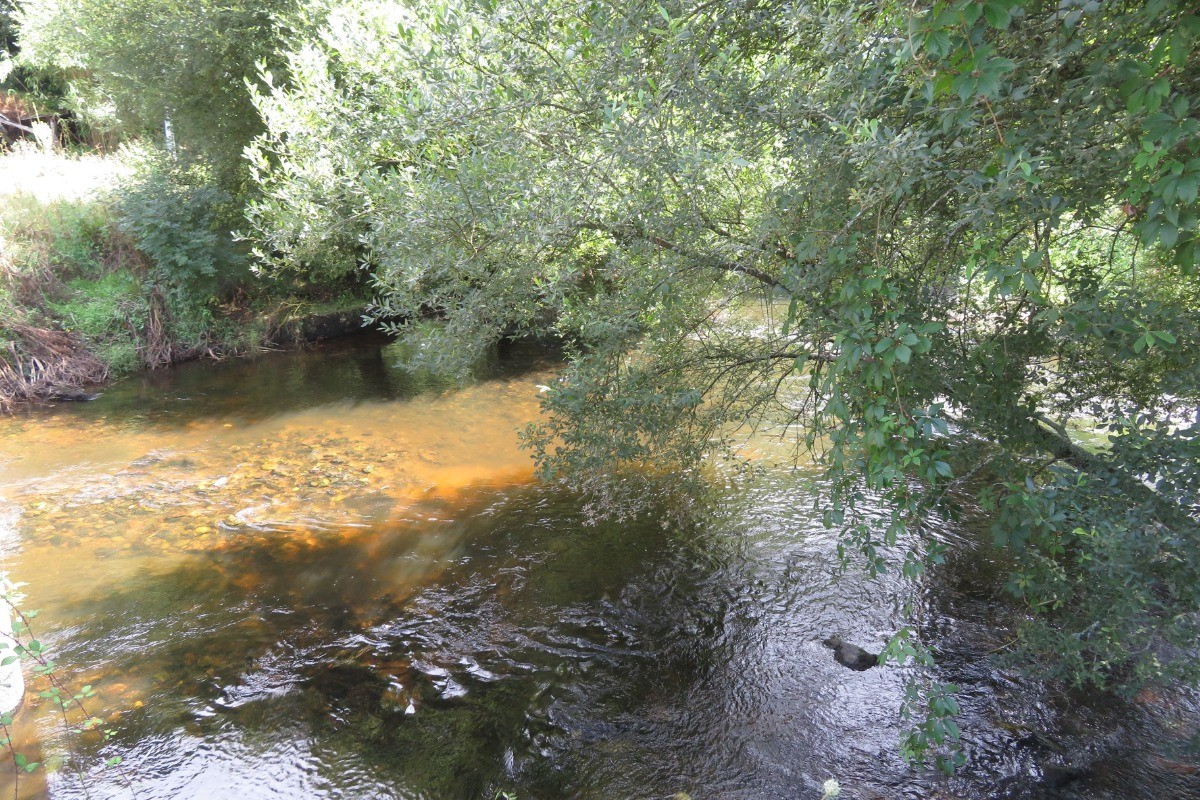 rivière d'Auray accessible à pied depuis le gîte