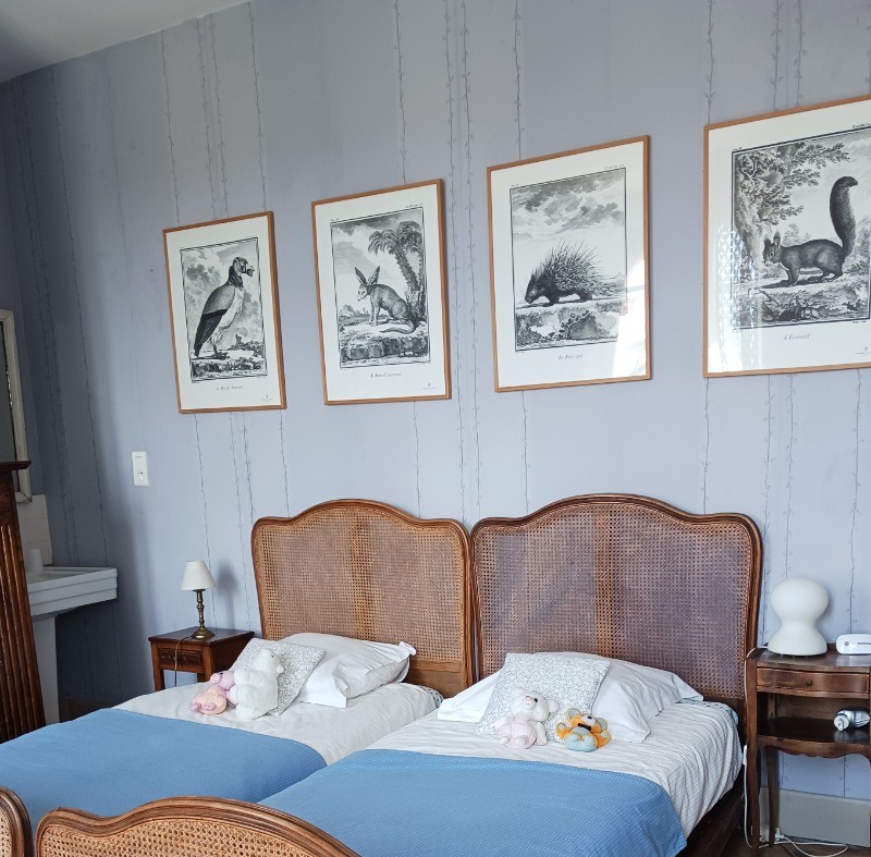 La chambre bleue