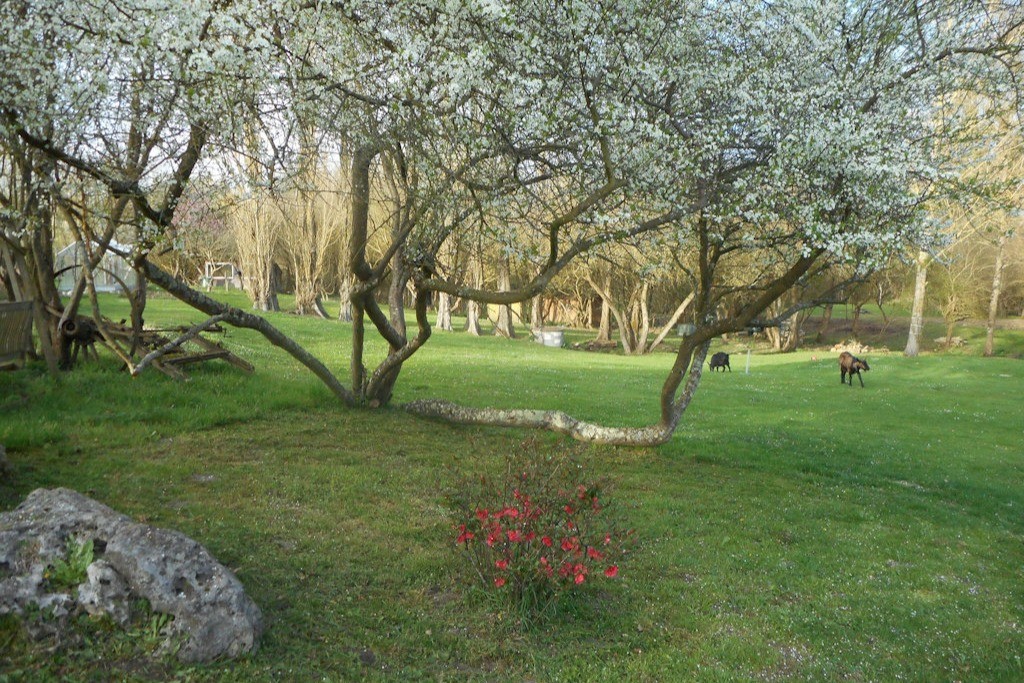 Photo n° 7 de la location