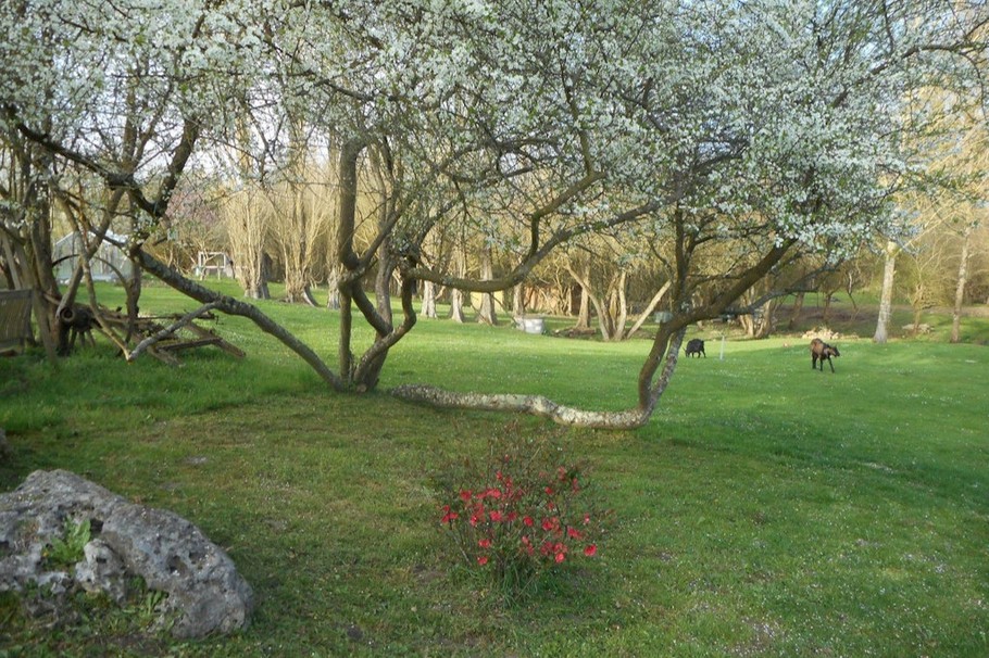 Photo n° 7 de la location