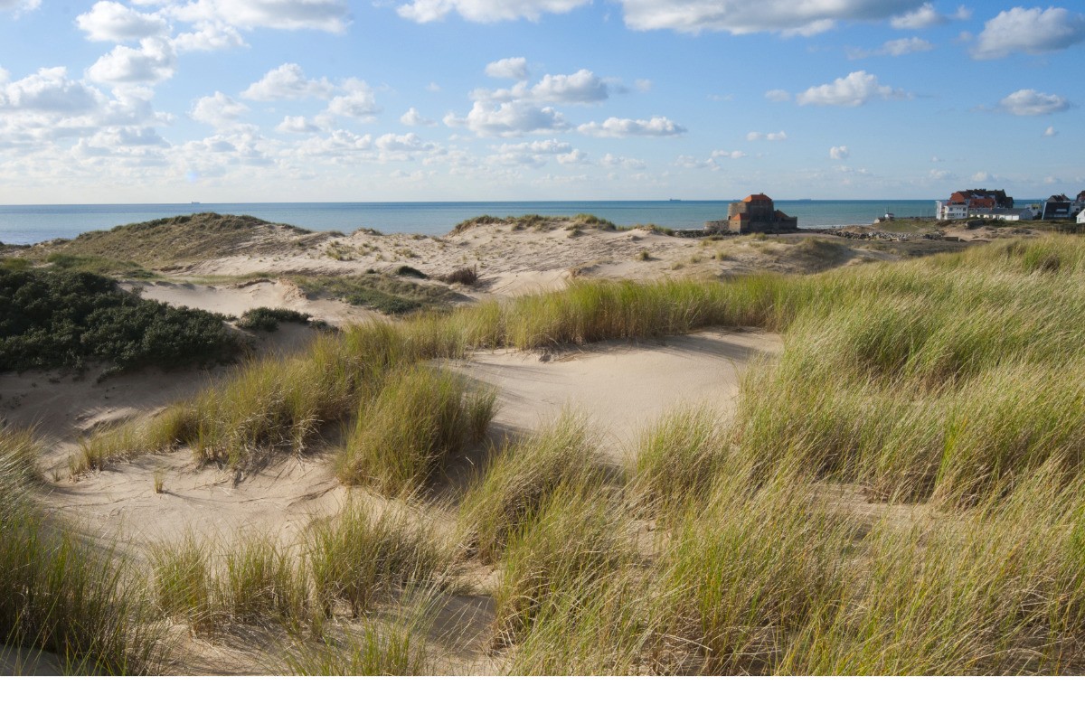 Les dunes de la Slack et le fort d'Ambleteuse.