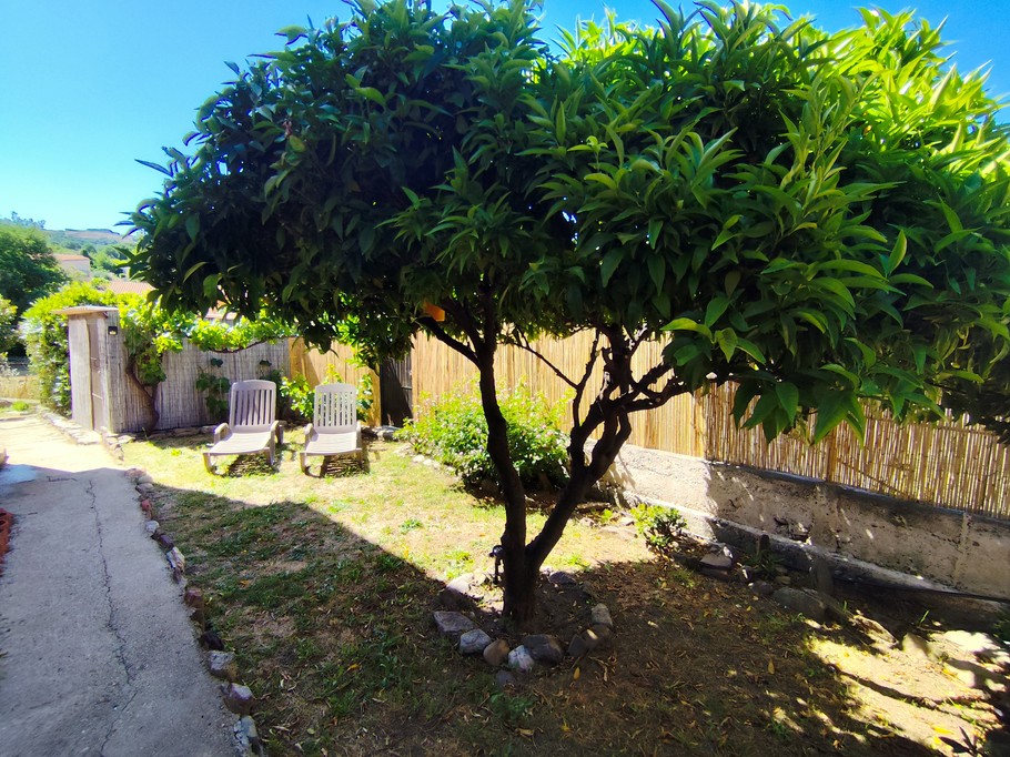 Side garden